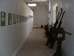 Peleliu War Museum
